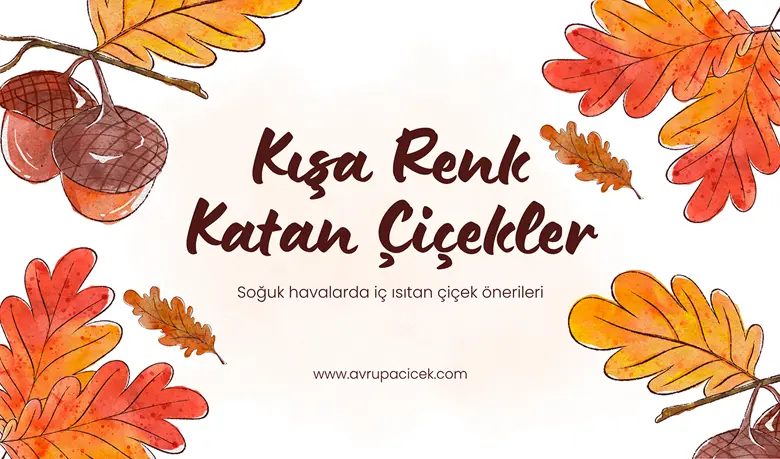 Kışa Renk Katan Çiçekler