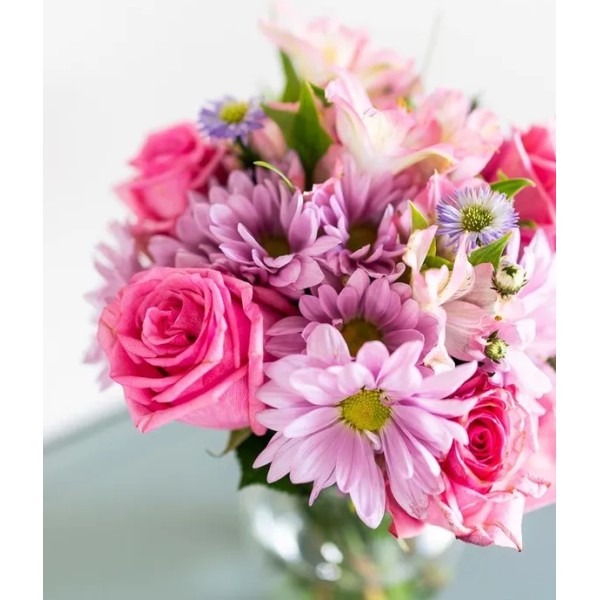 Vazoda 5 Pembe Gül ve Papatyalar