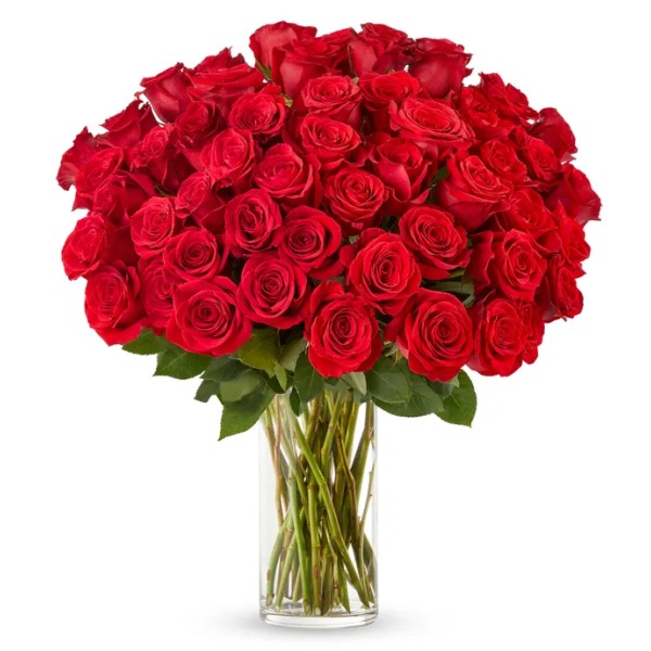 Vazoda 50 Kırmızı Gül