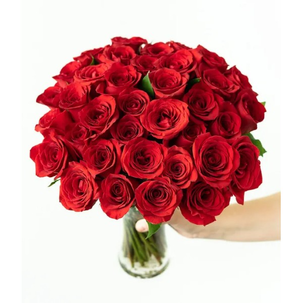 Vazoda 50 Kırmızı Gül Ayıcık ve Çikolata