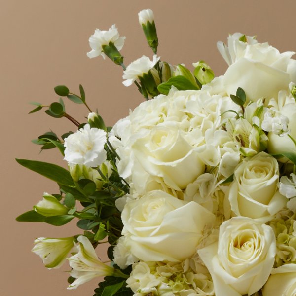 Serin esinti beyaz güller ve ortanca aranjmanı