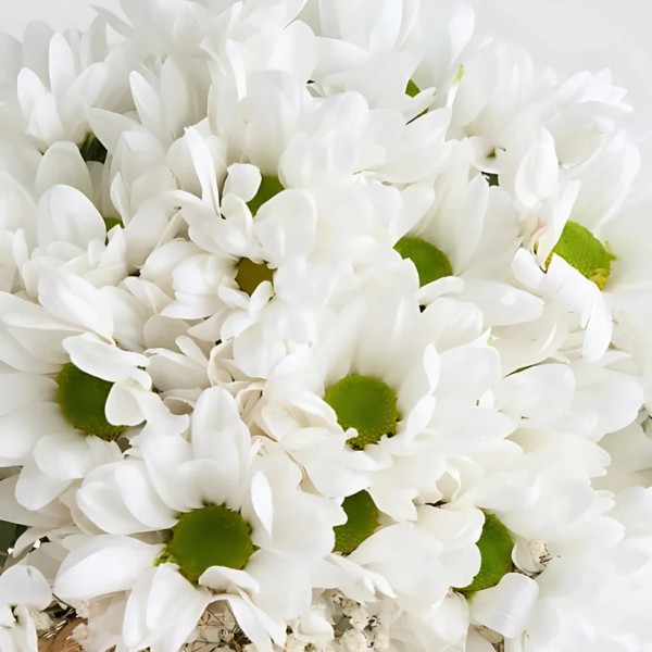 Cam Vazoda Beyaz Papatyalar